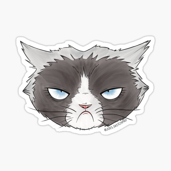 Cat Grumpy Eye Stickers