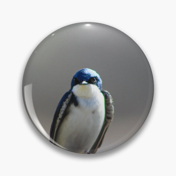 Item preview, Tree Swallow designed and sold by Chloe Muir.