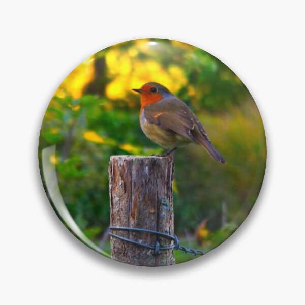 Item preview, A Robin in Osborne gardens IOW designed and sold by Bethany Edgington.