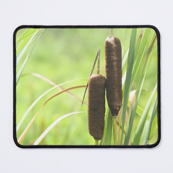 Item preview, Cat Tails designed and sold by brandi duhon.