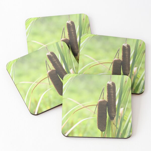 Item preview, Cat Tails designed and sold by brandi duhon.