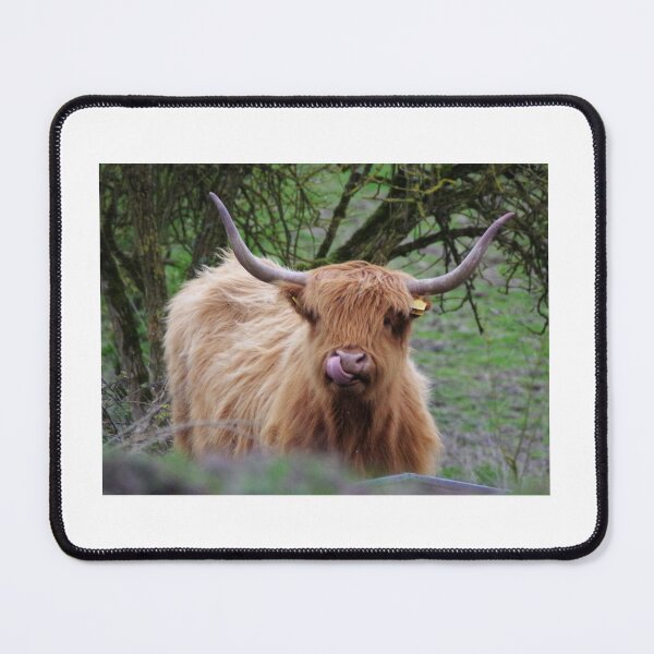 Item preview, Highland Cow IOW designed and sold by Bethany Edgington.