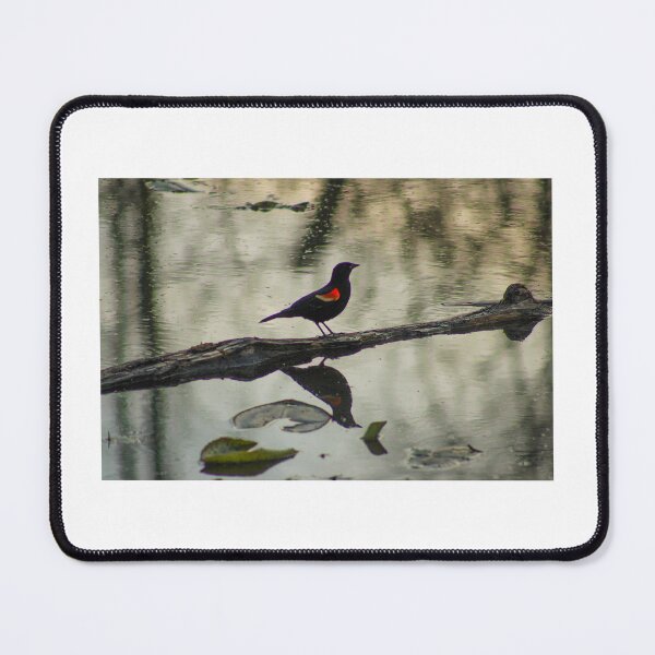 Item preview, Redwing Reflections designed and sold by Chloe Muir.