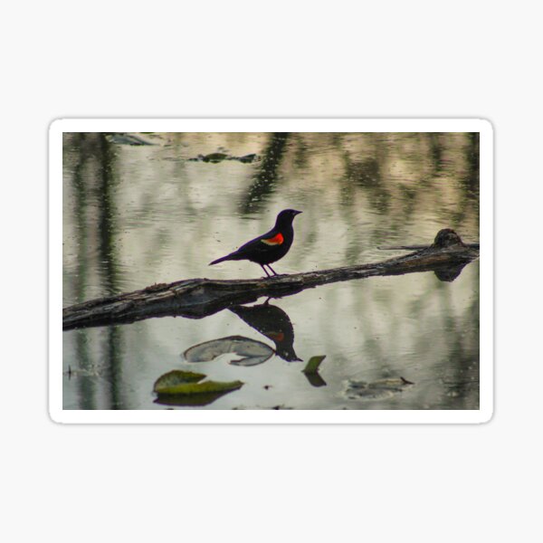 Item preview, Redwing Reflections designed and sold by Chloe Muir.