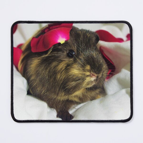 Item preview, Peggy designed and sold by Bethany Edgington.