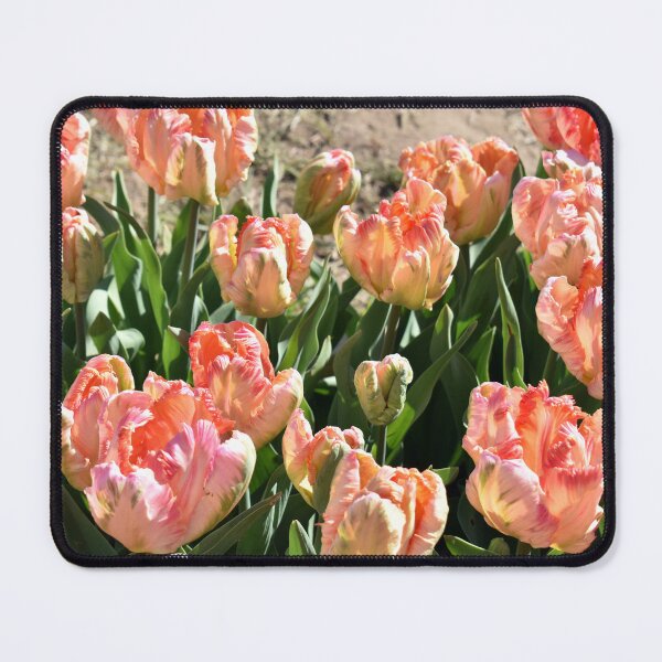 Item preview, Peach Tulips designed and sold by Maureen Zaharie.