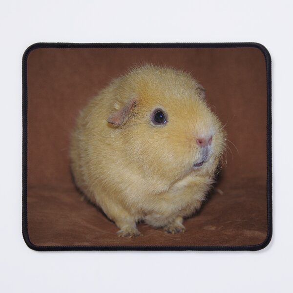 Item preview, Laurie designed and sold by Bethany Edgington.