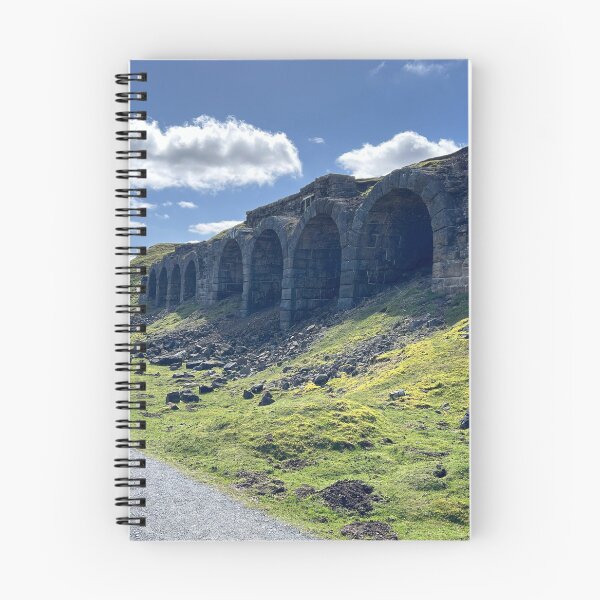 Item preview, Rosedale Chimney in all its glory.  designed and sold by Discovery-Gifts.