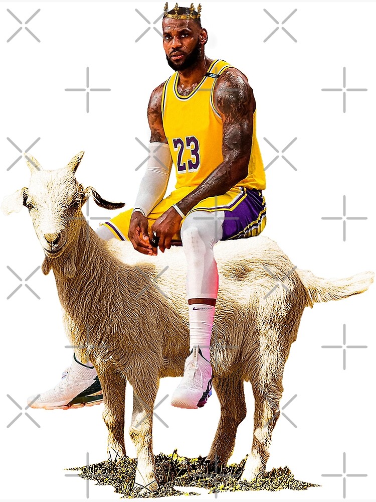 basketball king james