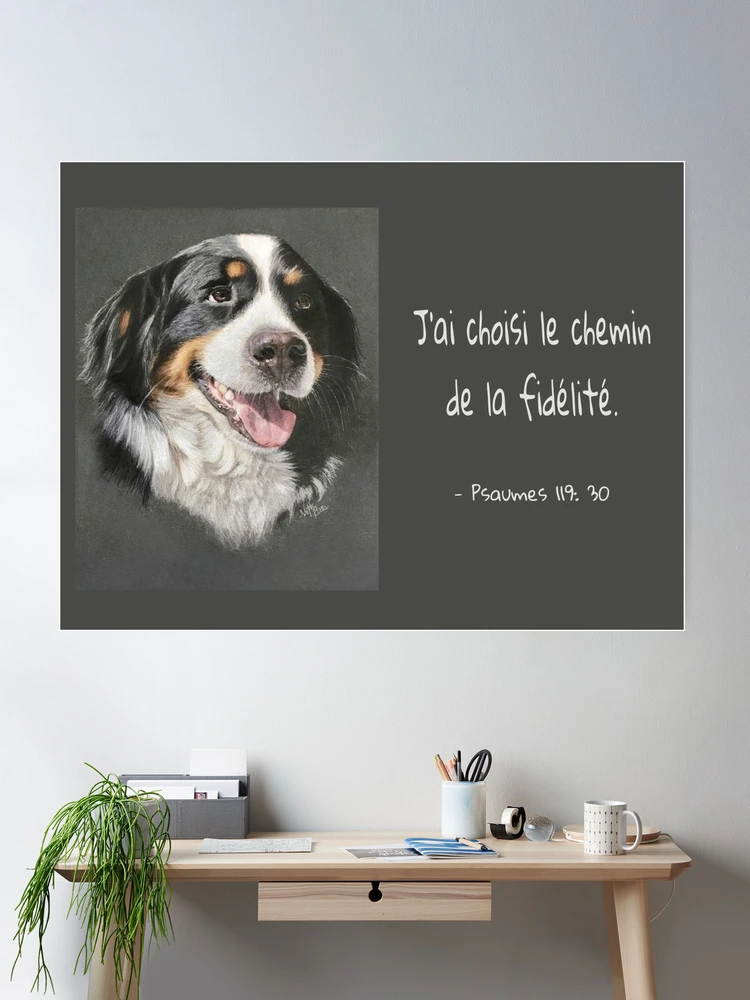 30bet app gränssnitt och funktioner