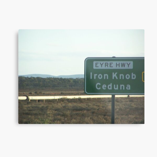I AM IRON MAN Metal Print