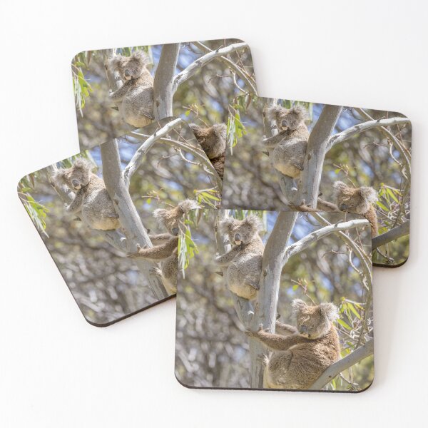 Item preview, Two Koalas designed and sold by Luke Foster.