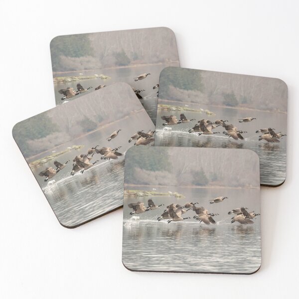 Item preview, Canadian Geese coming in for a Landing Photo two of three designed and sold by Ernie Steven Dickey.