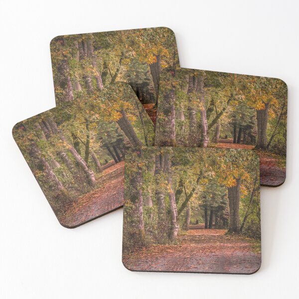 Item preview, Autumn Forest Walks and Trails one designed and sold by Ernie Steven Dickey.