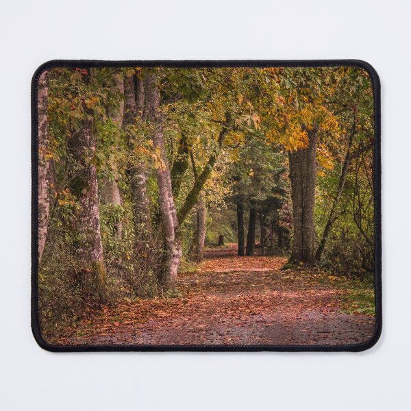 Item preview, Autumn Forest Walks and Trails one designed and sold by Ernie Steven Dickey.