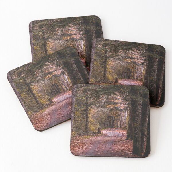 Item preview, Autumn Forest Walks and Trails at Lochisde Trail Victoria BC two designed and sold by Ernie Steven Dickey.