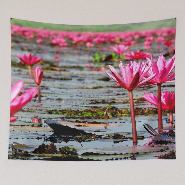 Item preview, Thailand - Kumphawapi Lotus Lake designed and sold by franck380.