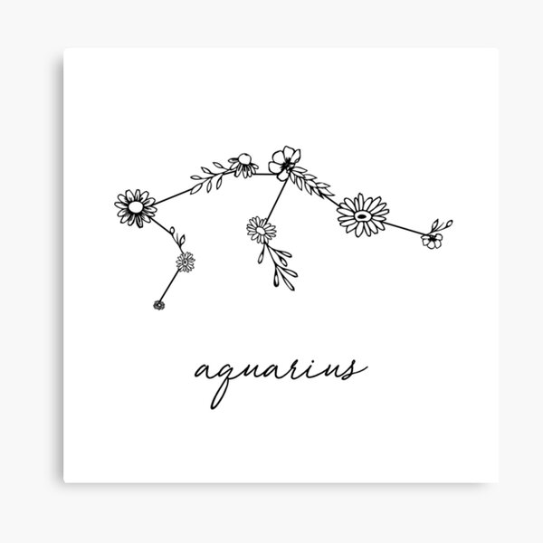Aquarius Zodiac Wildflower Constellation Canvas Print