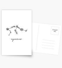 Aquarius Zodiac Wildflower Constellation Postcards