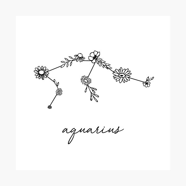 Aquarius Zodiac Wildflower Constellation Photographic Print