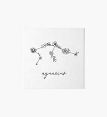 Aquarius Zodiac Wildflower Constellation Art Board