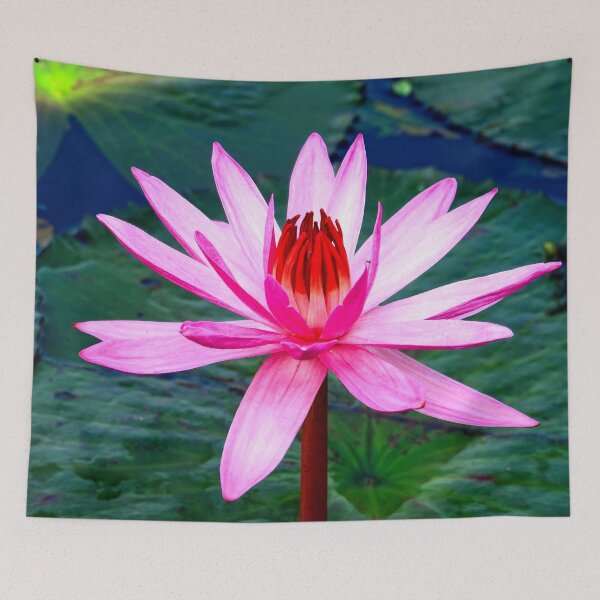 Item preview, Thailand - Kumphawapi Lotus Lake designed and sold by franck380.