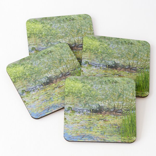 Item preview, Turtle in the marsh designed and sold by brandi duhon.