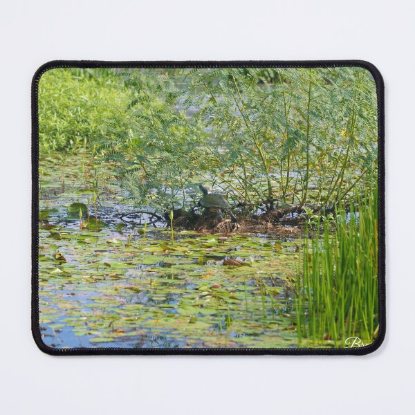 Item preview, Turtle in the marsh designed and sold by brandi duhon.