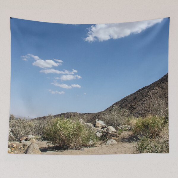 Item preview, Cañón de la palma, Borrego designed and sold by heatherfriedman.