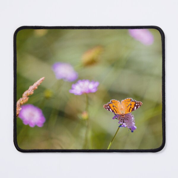 Item preview, Monarch Butterfly designed and sold by HSRPhotography.
