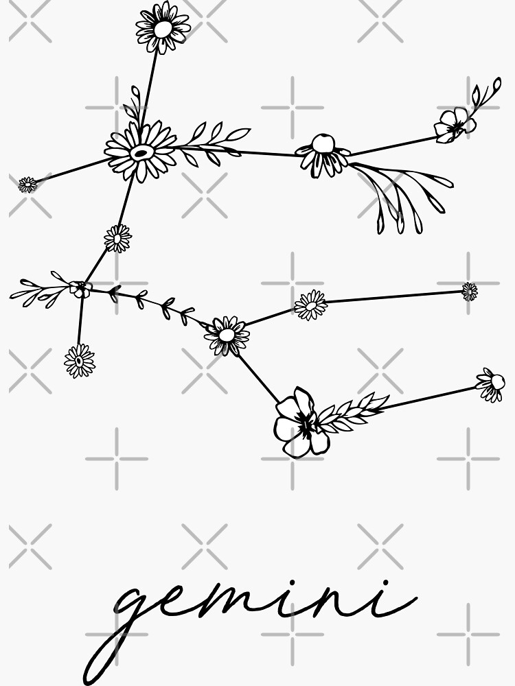 Gemini Zodiac Wildflower Constellation by aterkaderk