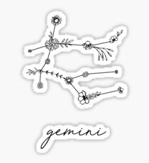 Gemini Zodiac Wildflower Constellation Sticker