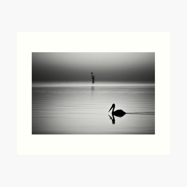 Item preview, Pelican on Lake Alexandrina designed and sold by HSRPhotography.