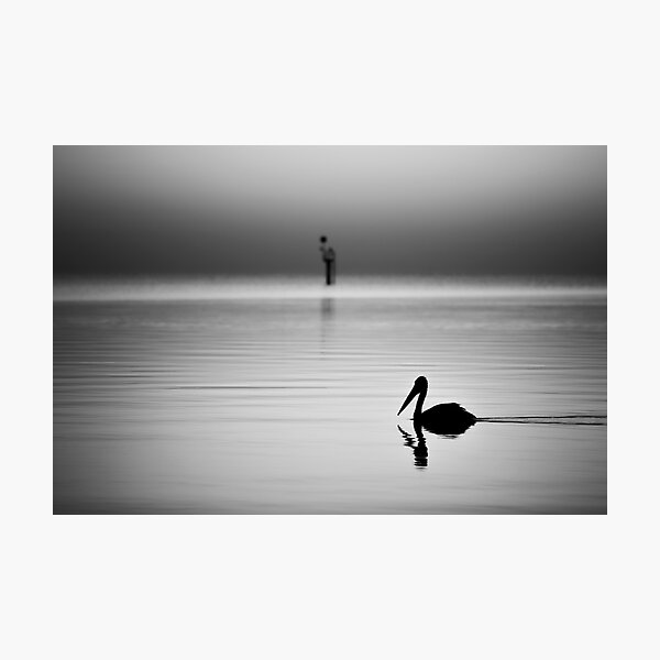 Item preview, Pelican on Lake Alexandrina designed and sold by HSRPhotography.
