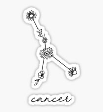 Cancer Zodiac Wildflower Constellation Sticker