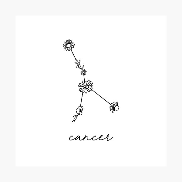 Cancer Zodiac Wildflower Constellation Photographic Print