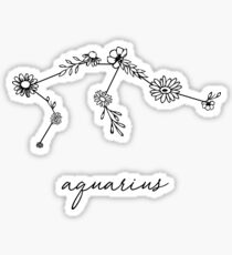 Aquarius Zodiac Wildflower Constellation Sticker