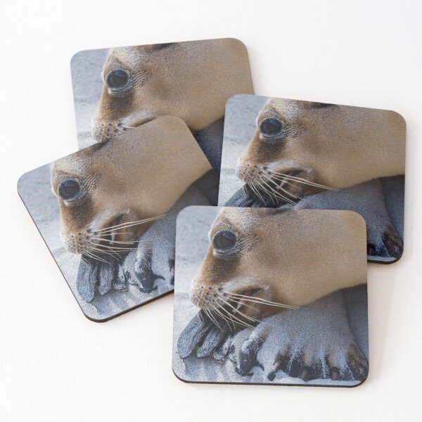 Item preview, Seal Mother designed and sold by HSRPhotography.
