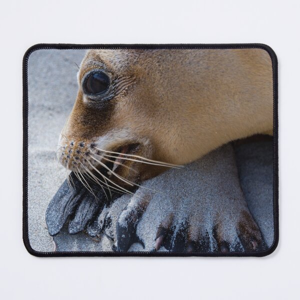 Item preview, Seal Mother designed and sold by HSRPhotography.