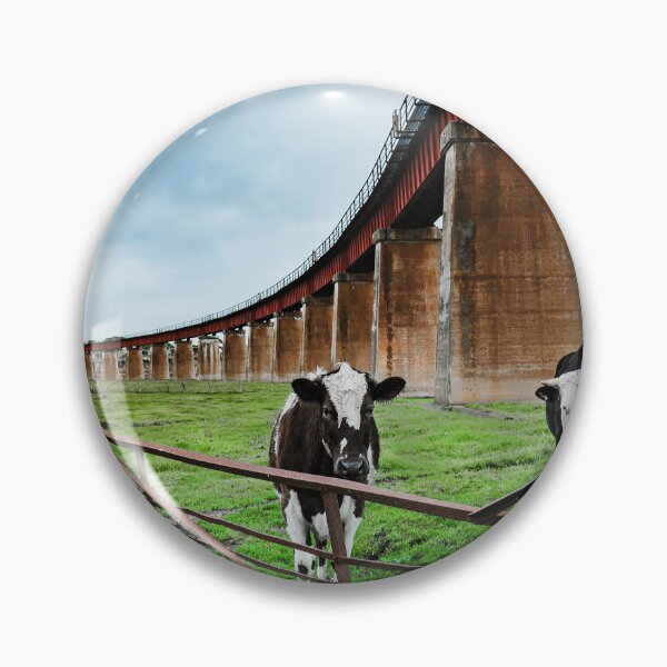 Item preview, Dairy Cows designed and sold by HSRPhotography.
