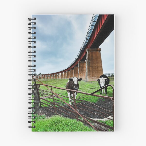 Item preview, Dairy Cows designed and sold by HSRPhotography.