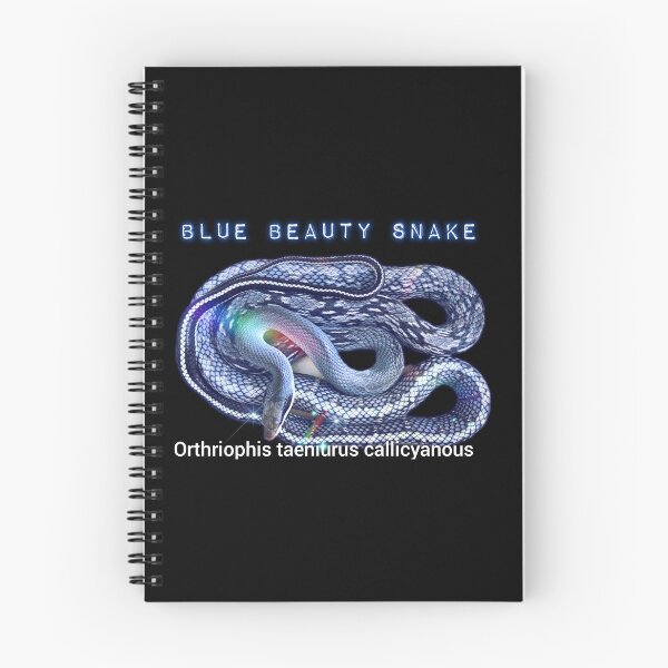 Item preview, Blue Beauty Snake Orthriophis taeniurus callicyanous  designed and sold by StrangeFetish.