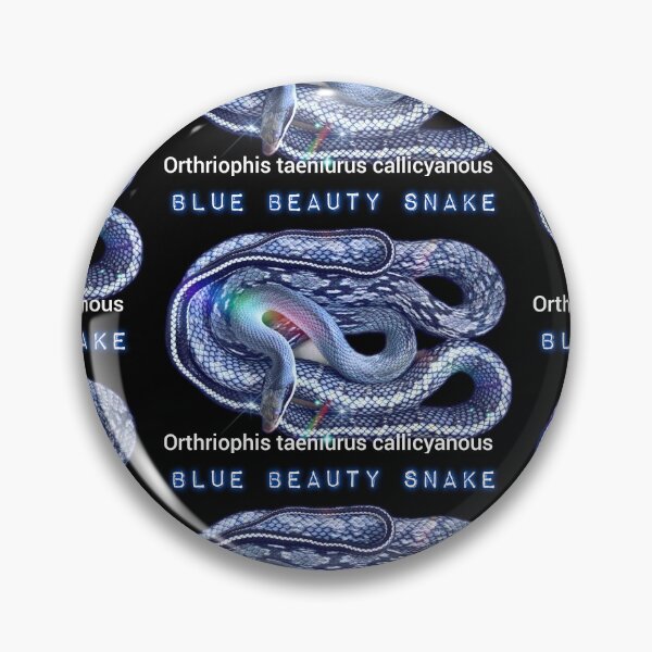 Item preview, Blue Beauty Snake Orthriophis taeniurus callicyanous  designed and sold by StrangeFetish.