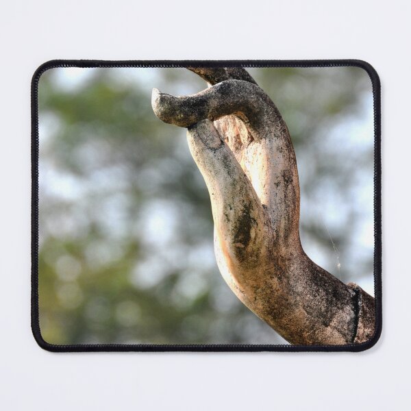 Item preview, Gesture of Peace: The Hand of the Buddha of Sukhothai designed and sold by franck380.