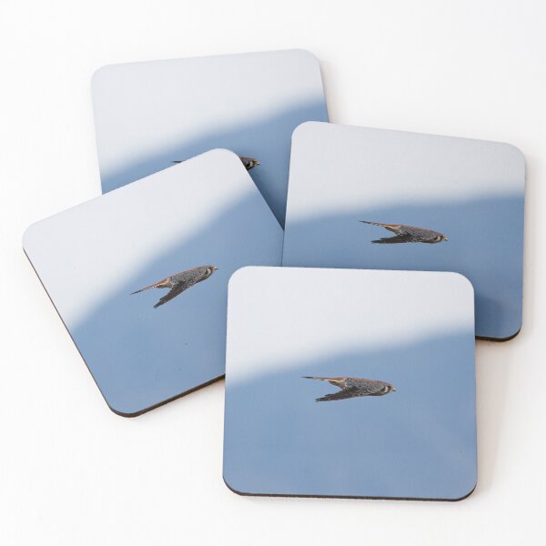 Item preview, American Kestrel In Flight designed and sold by CarolM.