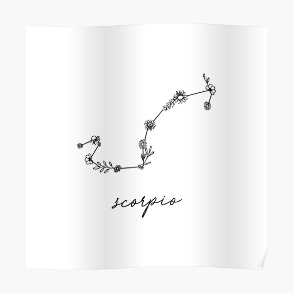 Scorpio Zodiac Wildflower Constellation Poster