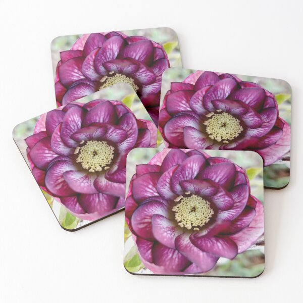 Item preview, Helleborus 'Whirlwind Romance' designed and sold by bjtomiko.