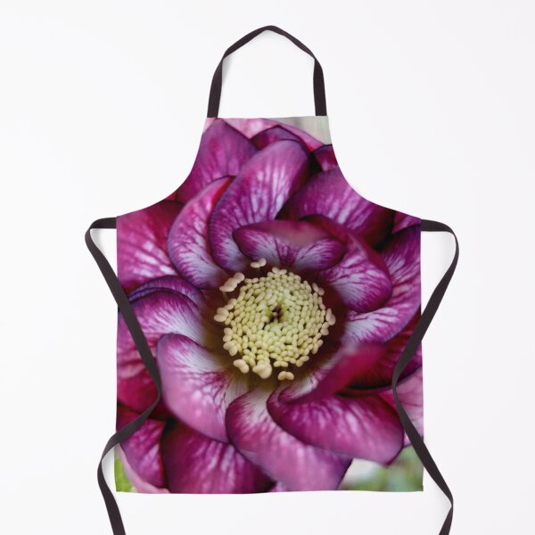Item preview, Helleborus 'Whirlwind Romance' designed and sold by bjtomiko.