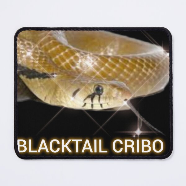 Item preview, BT Cribo Drymarchon m melanurus  designed and sold by StrangeFetish.
