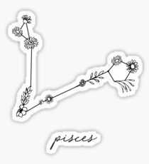 Pisces Zodiac Wildflower Constellation Sticker